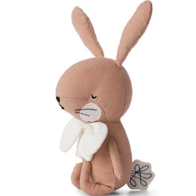 Charger l'image dans la galerie, Peluche Lapin avec boîte cadeau
