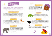 Charger l'image dans la galerie, Coffret A la découverte des Animaux du Monde
