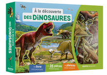 Charger l'image dans la galerie, Coffret A la découverte des Dinosaures
