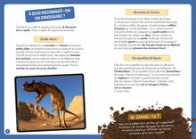 Charger l'image dans la galerie, Coffret A la découverte des Dinosaures
