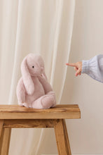 Charger l'image dans la galerie, Peluche Lapin Penelope Blossom - 30cm
